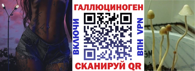 магазин продажи   Тула  Галлюциногенные грибы MAGIC MUSHROOMS 